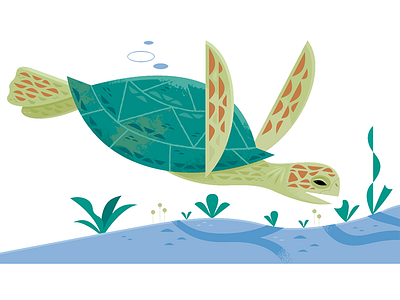 Sea turtle by Alexander Vidal on Dribbble