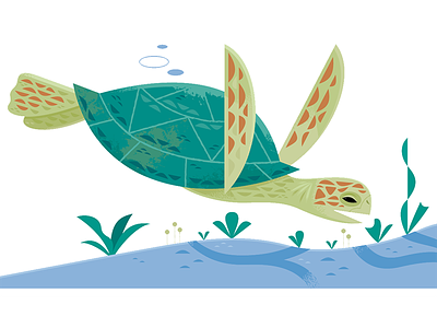 Sea turtle