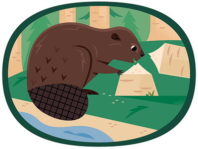 Beaver animals beaver forest illustration nature vector wildlife woods