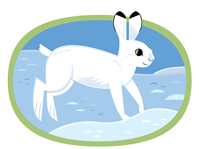 Snowshoe Hare animals bunny childrens illustration design graphic design illustration kidlitart nature rabbit vector wildlife