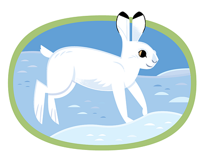 Snowshoe Hare