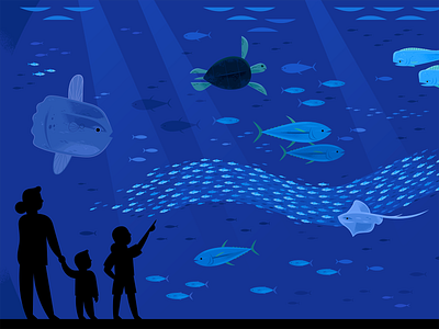 Monterey Bay Aquarium Open Sea aquarium deep sea fish illustration illustration fish nature ocean sea turtle wildlife