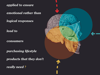 Dissertation in visuals