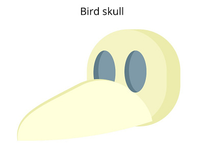 Bird Skull design gravit designer illustration vector vector art vector illustration white yellow