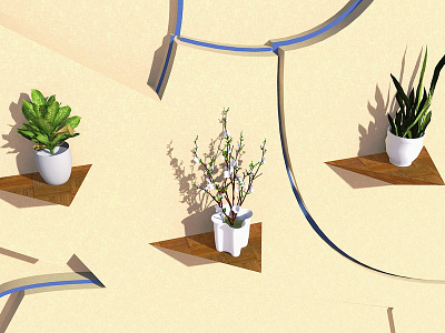 Posas Macetas 6 3d art art direction design plants render rendering sketchup