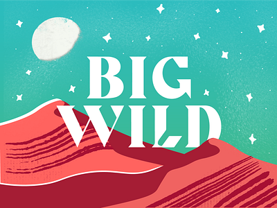 Big Wild Gig Poster Artwork bigwild