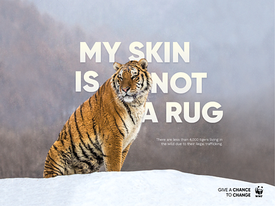 WWF Give a change to change ad animals graphic design ice photo manipulation photoshop art tiger