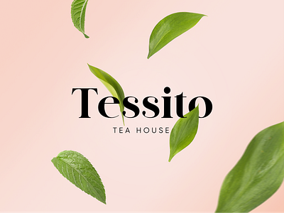 Tessito brand identity