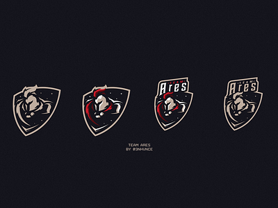 TEAM ARES design esports illustration knight logo mascot warrior