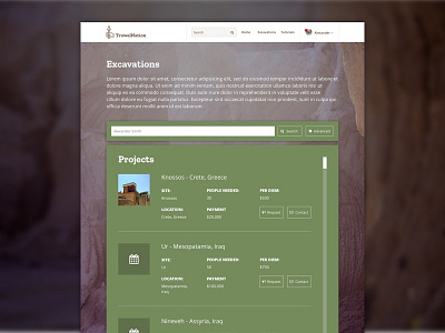 TrowelNation - Excavation Page Design