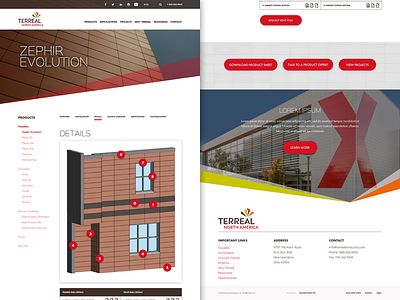 TN - Single Product Details design marketing material minimal ui ux web web design website