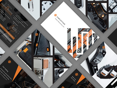 SimpleStake - Brochure branding brochure design illustration manual print typography vector