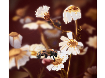 Flower & Bee illustration
