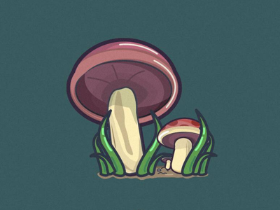 mushroom illustration