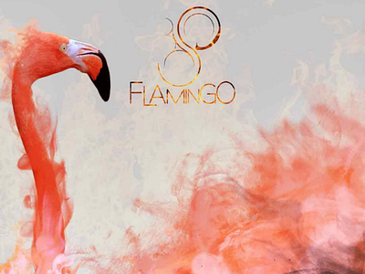 Flamingo logo graphic photoshop illustrator