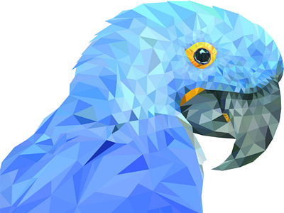 Polygonal parrot adobe blue color creative geometric illustrator interface nature parrot polygonal triangle