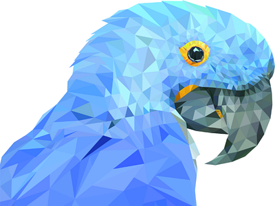 Polygonal parrot