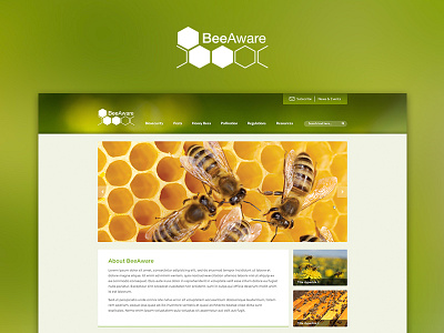 BeeAware Website bee bio design green logo security web website