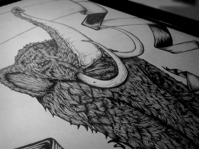 Wooly drawing illustration mammoth woolly wooly