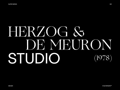 Herzog & de Meuron Architecture Studio architecture branding clean concept design minimal series studio typography ui ui design ux website