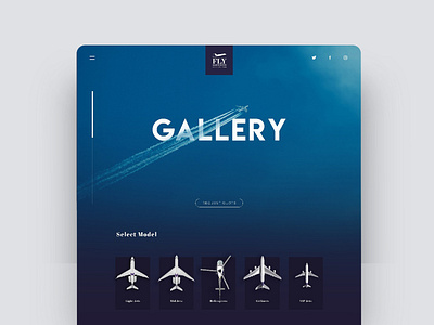 Private Jet Gallery Website blue blue website branding design gallery icon illustration logo minimal private jet typography ui ux design uidesign ux vector website layout