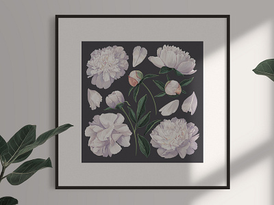 White Realistic Peonies Set adobe illustrator botanical botanical flowers botanical illustration botany fabric flora floral flower hand drawn illustration isolated leaf natura nature pattern peonies peony realistic vector