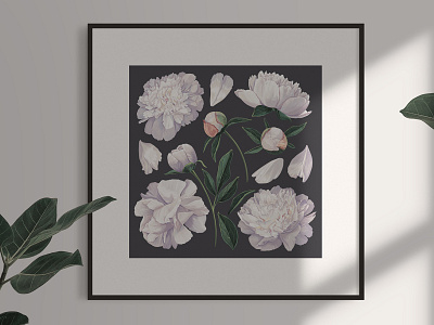 White Realistic Peonies Set