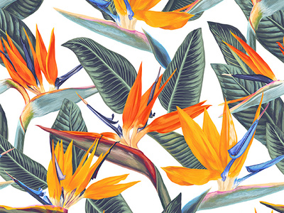 Seamless Strelitzia Reginare 2d 2d art adobe illustrator bird of paradise digitalart flowers illustration pattern pattern art seamless tropical tropical flowers tropical pattern vector