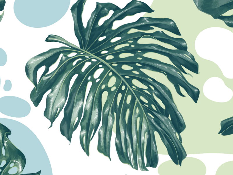 Monstera Seamless Pattern details wrapping paper wallpapers tropical pattern tropical leaves tropical textile surface pattern design surface design seamless rainforest print pattern monstra green foliage fashion abstract