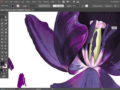 Dark-Violet Tulip Process