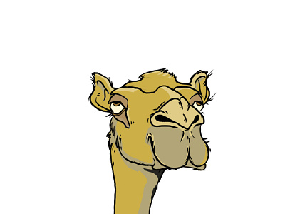 Camel concept illustration vector