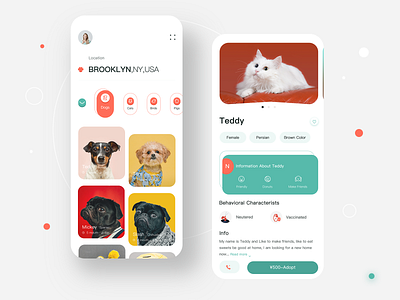 Pet Adoption App adoption app branding design minimal pets ui