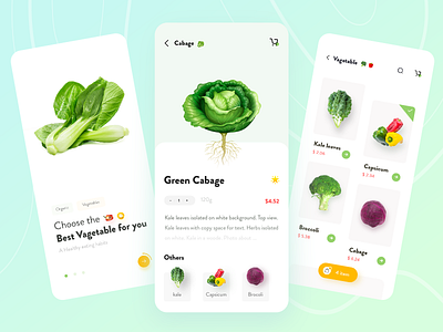 Vegetable  Delivery Service - Mobile App