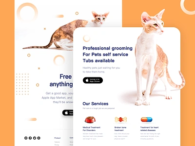 Pet Care—Website animals app branding cat design dog grooming healthy illustration minimal pet pet care petals petshop service typography website