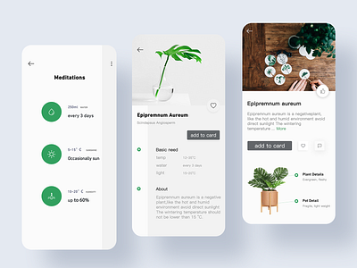 Plant Concept app branding design type ui website