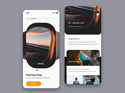 Travel Application Concept app design