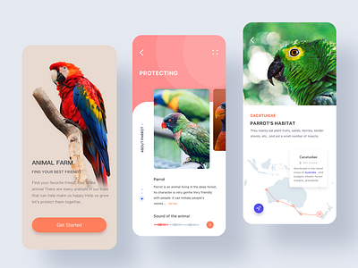 animal app by Marcus Leo on Dribbble