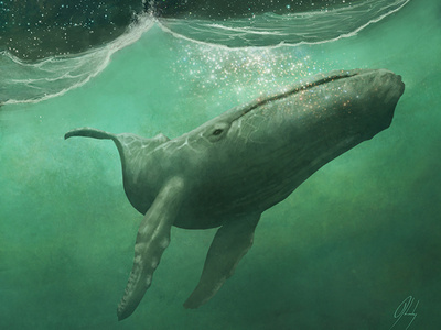 The Whale art digital art digital artist fantasy art illustration whales whimsical