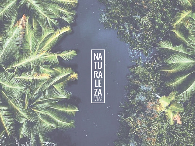 Naturaleza Viva 22 01 01