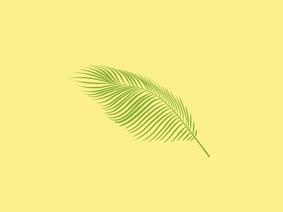 Palm illustration leaf line palm plant tree vector