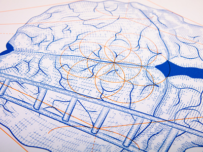 The Science of Superstition - Brain Illustration brain brain illustration brand identity branding etched illustration etching exhibition design graphic design hand drawn illustration illustration logo design medical illustration science science illustration superstition superstition design