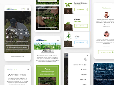 PGG Seeds agriculture design seeds ui ux web