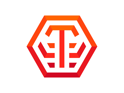 Personal Logo brand geometric geometrical hexagon logo ollie orange tiger visual identity