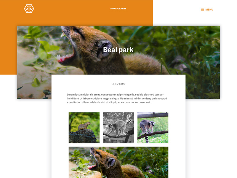 Portfolio Casestudy design photography casestudy case study portfolio website web