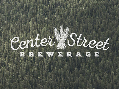 Center Street Brewerage beer branding brewery craft beer homebrew logo