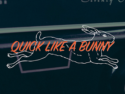 Quick Like a Bunny branding logo rabbit