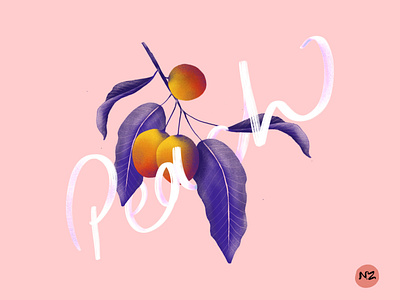 peaches artwork fruit illustration illustraion peach procreate shading