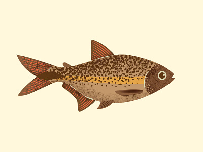 Lambari amazon brazil cool cool design design fish fishing grain grain texture illustration illustrator jungle lambari peixe river tropical water