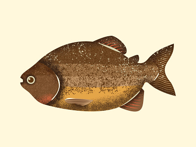 Pacu amazon brasil brazi brazilian design fish fishes fishing grain texture grains illustration jungle pacu peixe river serie tropical vector