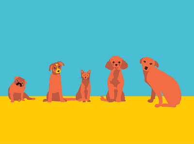 The pets animals beach cat doggy dogs dogstudio holidays illustration ladradoodle pet pets poodle pool pug summer summertime sun swim tropical water